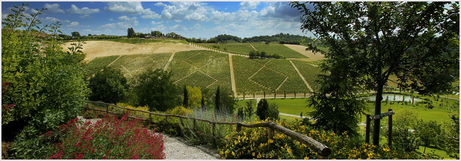 Fattoria Terre del Marchesato